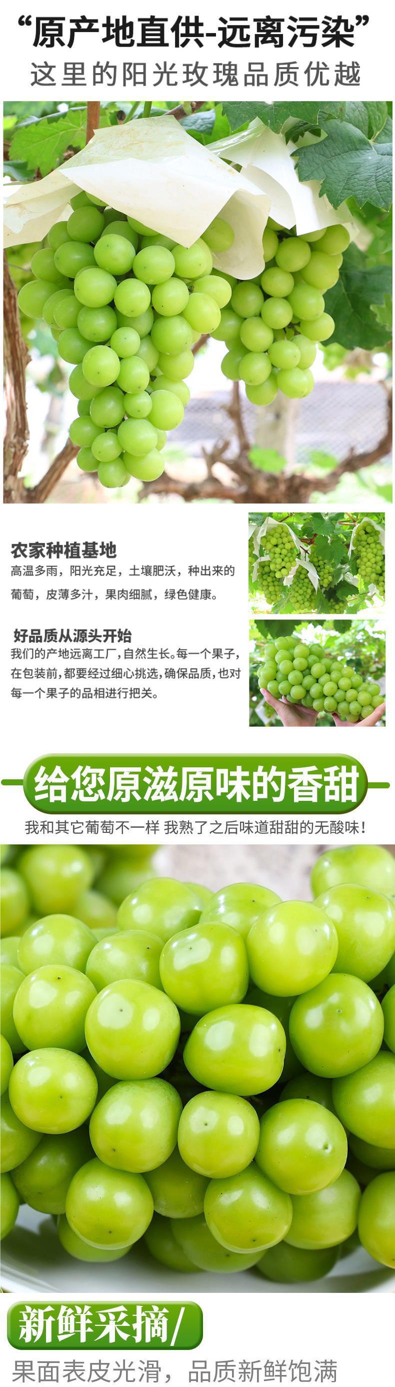 4c851f97540346b960252118d52f9d83_O1CN019hJQVm1URv7lIOFFH_!!2219035452515-0-cib.jpg